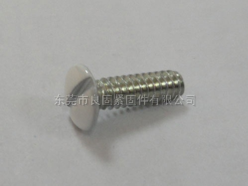 烤漆螺丝228